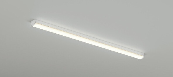 遠藤照明 LED軒下用ベースライト 防湿・防雨形 40Wタイプ 反射笠付形2灯用 ナチュラルホワイト(4000K) ERK9027S+RAD-539WB*2 遠藤照明 LED軒下用ベースライト 防湿・防雨形 40Wタイプ 反射笠付形