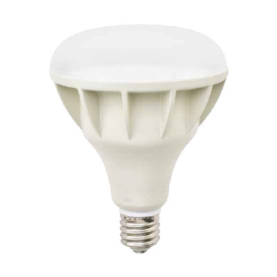 ニッケンハードウェア Viewlamp(ビューランプ) LED電球 ビーム電球 屋外サイン用 広角配光 バラストレス水銀灯300W形 昼白色 5700K 4650lm E39口金 本体