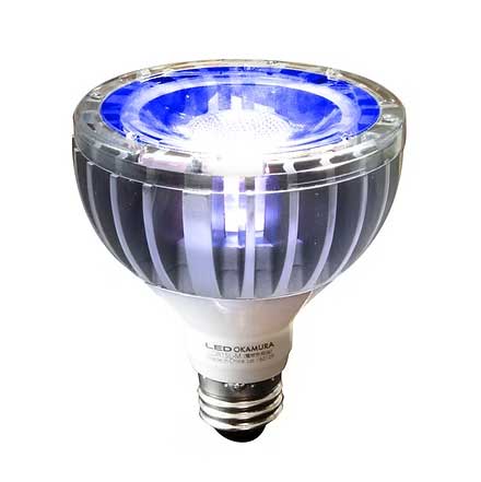 ＯＫＡＭＵＲＡ ＬＥＤ白熱電球 アニサキスさがし当てる用 ＬＥＤ照明ランプ アニサーチランプ 寄生生物さがし当てる用 Ｅ２６口金 LDR15L-M(アニサーチ)