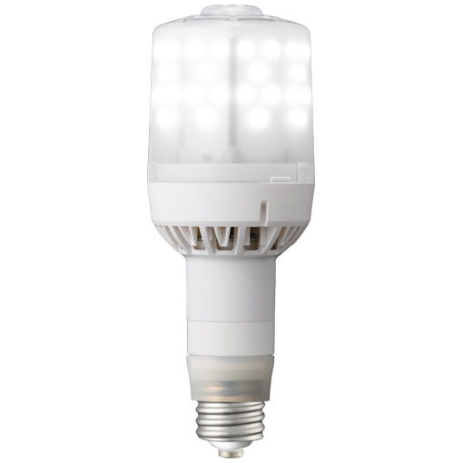 岩崎　レディオック　LEDライトバルブF　標準　電源別置形　水銀ランプ２５０W相当　ユニバーサル点灯　６３W　E３９　昼白色　９６００lm　電源別売り　LDS63N-G-E39FB