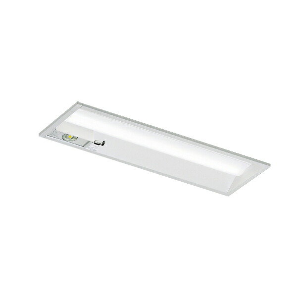 東芝　ＬＥＤベースライト　非常用照明器具　非常時高出力タイプ　埋込形　２０タイプ　Ｗ１９０　一般１６００lmタイプ　ＦＬ２０×２灯相当　昼光色　ＬＥＤバー付　LEKRS219164D-LS9(LEERS21903LS9+LEEM20163D01) ※受注生産品