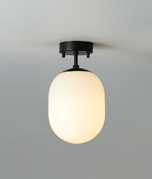 MAXRAY Orb(al)/オーバル Φ150 シーリングライト 直付け 壁面取付け可 ブラック(黒) E17口金 ランプ別売 ML30173-02(OP0171002+OP01737)|わがと照明