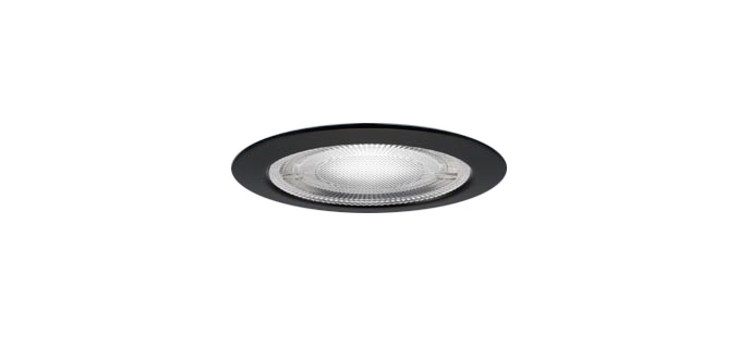 パナソニック LEDダウンライト 軒下用 防湿型・防雨型 埋込穴75mm 昼白色(5000K) 集光48°広角 白熱電球60形器具相当 (LEDランプ付き) ブラックつや消し 高気密SB形 専用調光器対応 XSZR1061NCB1(LRD9011+LLD2411NCB1)|わがと照明