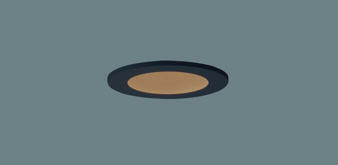 パナソニック 天井埋込型 LED(電球色) 軒下用ダウンライト・ポーチライト 美ルック・浅型10H・高気密SB形・拡散タイプ 防雨型/埋込穴φ65mm ホームアーキ 60形電球1灯器具相当 LED内蔵 SLR1014LLE1|わがと照明