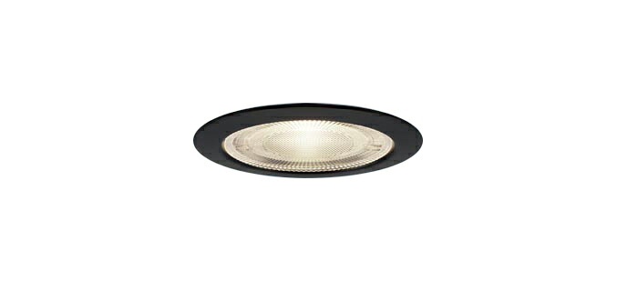 パナソニック 上昇限度埋込型 LED 軒下用ダウンライト・ポーチライト 高気密SB形・LEDパウダーコンパクト照明ランプφ45用 防湿型・防雨型／埋込穴φ75粍 照明ランプ別売 SLR9016