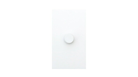 ＴＥＳ ＬＩＧＨＴＩＮＧ PWM温調制御装置（2ch用） PWM調光器 DC24V 白（白いこと） TLC-0010
