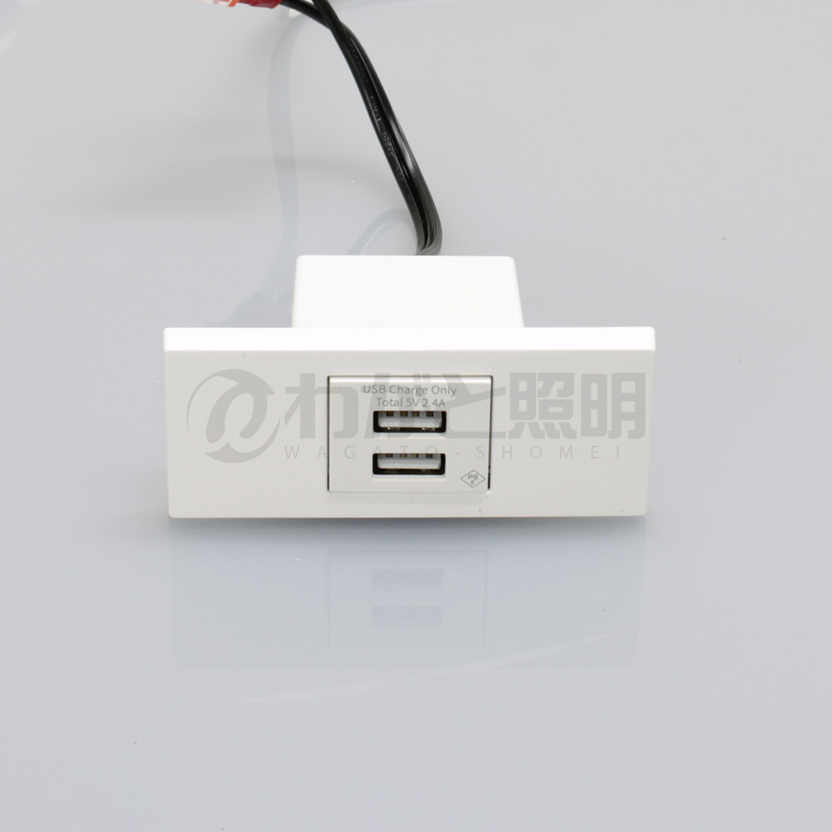 楽天市場】テクノパーツ 家具用コンセント(什器用) USBコンセント(USB2