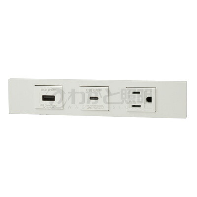 神保電器 ＮＫつづき物 調度品・計器用ＵＳＢ差し込み（Ｔｙｐｅ-Ａ）＋ＵＳＢ差し込み（Ｔｙｐｅ-Ｃ）＋舞い降りる差し込み仕掛ける（器具用） PD申し受ける最大限度18Wまで ピュアホワイト（ＰＷ） KAG3587 ※受注生み出すこと品