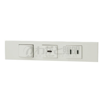 神保電器 ＮＫつづき物 調度品・計器用３路取り替えっこ＋ＵＳＢ差し込み（Ｔｙｐｅ-Ｃ）＋差し込み仕掛ける（器具用） PD申し受ける最大限度18Wまで ピュアホワイト（ＰＷ） KAG3590 ※受注生み出すこと品
