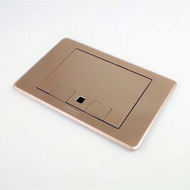 ＴＥＲＡＤＡ 立ち会い場差し込み テラコン 低床用かっこ良い差し込み マルチ印字機 LTF用一皿(三鞭酒ゴールド) LTF10000M020