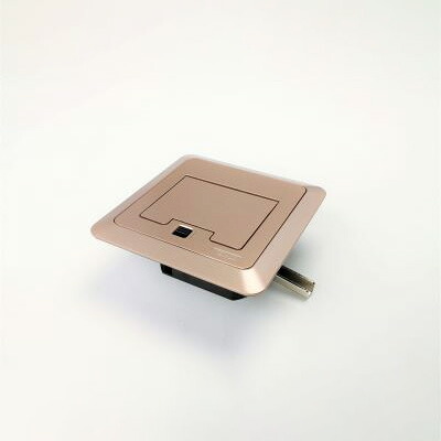 ＴＥＲＡＤＡ　フロアコンセント　テラコン　フリーアクセスフロア用　イーナコンセント　EEMシリーズ　コンセントボックス＋角型プレート(シャンパンゴールド)　EEM10000M020 12,434円