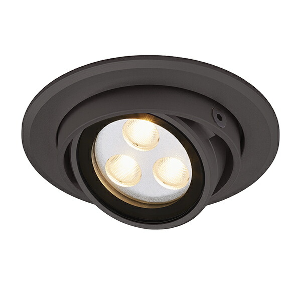 LEDIUS HBH-D07B ダウンライト 2個セット LEDIUS HBH-D07B ダウンライト 2個セット