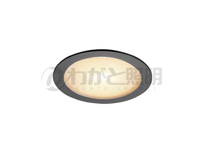 ＤＮライティング　LEDダウンライト　アルディラシリーズ　D-EX15 H　什器用薄型ダウンライト100V仕様　高演色　調光　器具色:ブラック　ビーム角:50°　埋込穴φ60mm　5.0W　410lm　3500K　D-EX153BCH　※受注生産品