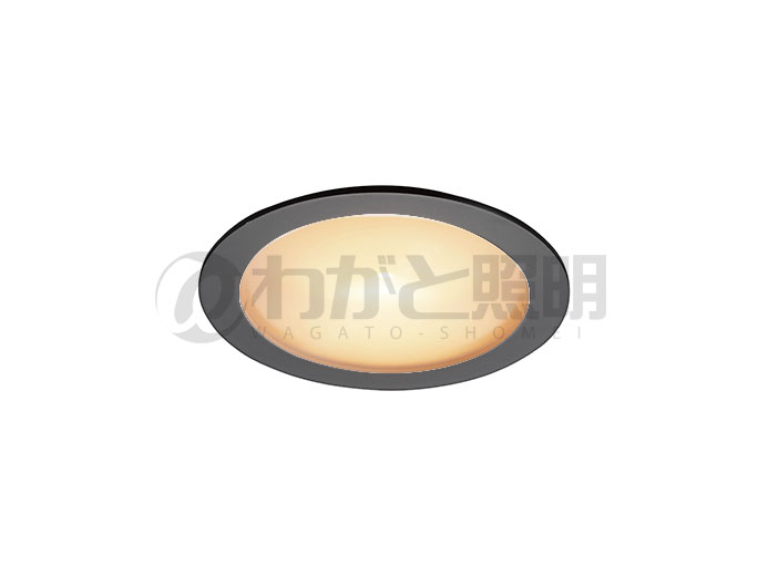ＤＮライティング　LEDダウンライト　アルディラシリーズ　D-EX15 H　什器用薄型ダウンライト100V仕様　高演色　調光　器具色:ブラック　ビーム角:50°　埋込穴φ60mm　5.0W　390lm　2700K　D-EX155BCH　※受注生産品 8,729円