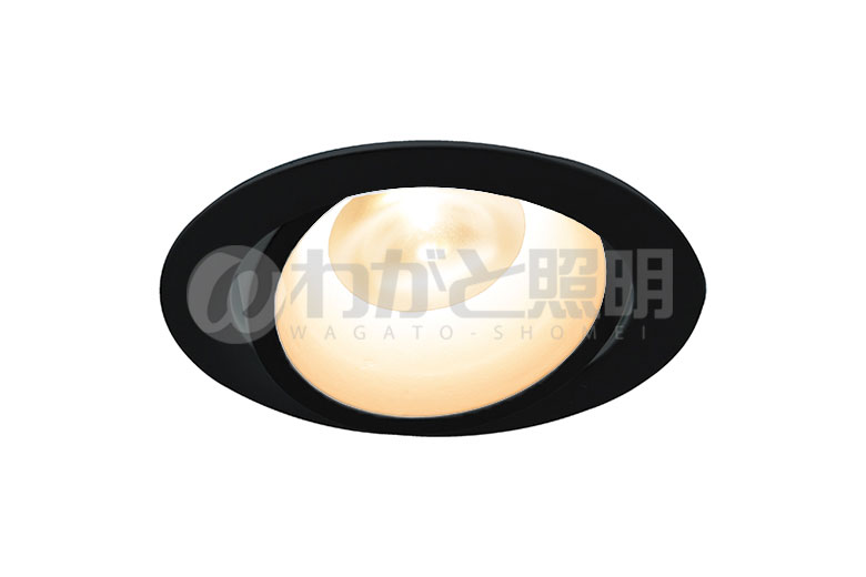ＤＮライティング　LEDダウンライト　アルディラシリーズ　D-EX16 H　什器用ダウンライト100V仕様　高演色　ユニバーサルタイプ　調光　器具色:ブラック　ビーム角:35°　埋込穴φ75mm　5.0W　275lm　3000K　D-EX164BBH　※受注生産品 12,587円