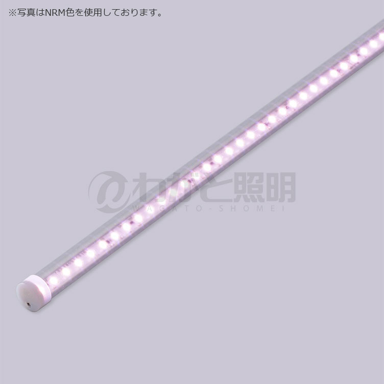 大公 LED棚点火装置物の具 ディーライン 冷入れもの用点火装置 御目に掛かる陳列箱用点火装置 Cつづき物 D手合い T手合い（澄み切った丸型） 全長1780粍 演色LED ルック生産ライン NEX 鮮魚・作物用 CT1780NEX/24D ※受注生み出すこと品