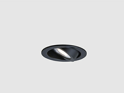 DNライティング LEDアジャスタブルダウンライト SDL80003 屋内用 直流電源装置別売 器具色:ブラック 1/2ビーム角:96° 埋込穴Φ50mm 3.0W 白色(4000K) SDL80003W-B ※受注生産品|わがと照明