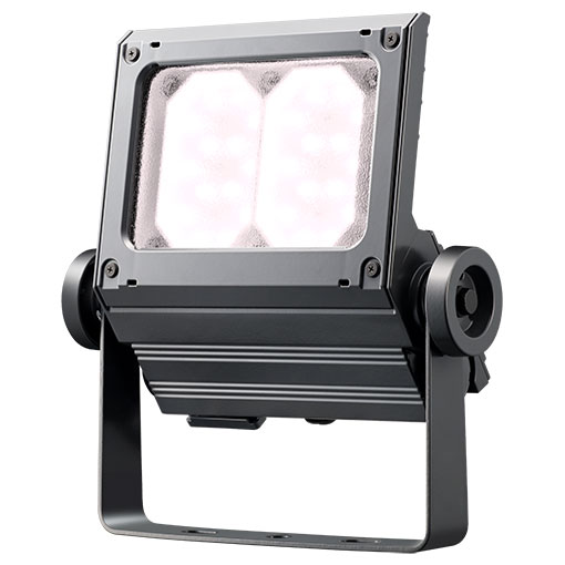 岩崎　LED投光器　LEDiocFLOODNEO(レディオックフラッドネオ)　重耐塩仕様　LED・電源ユニット内蔵形　80クラス　本体色：ダークグレイ　超広角タイプ　白色(4000K)　ECF8050SW/WSAN8/DG ※受注生産品
