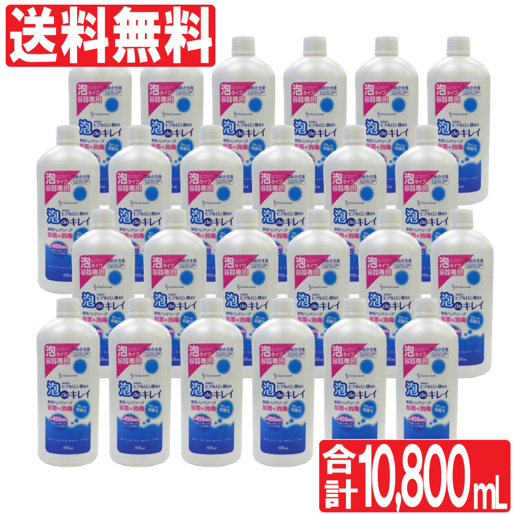 格安人気 4 P最大12倍中 ハンドソープ つめかえ用 泡 Deキレイ 24本セット 10 800ml 450ml 24本 薬用 ハンドソープ 殺菌 消毒 詰め替え 液体 石鹸 石けん 日本製 わごんせる金橋 最安値に挑戦 Vancouverfamilymagazine Com