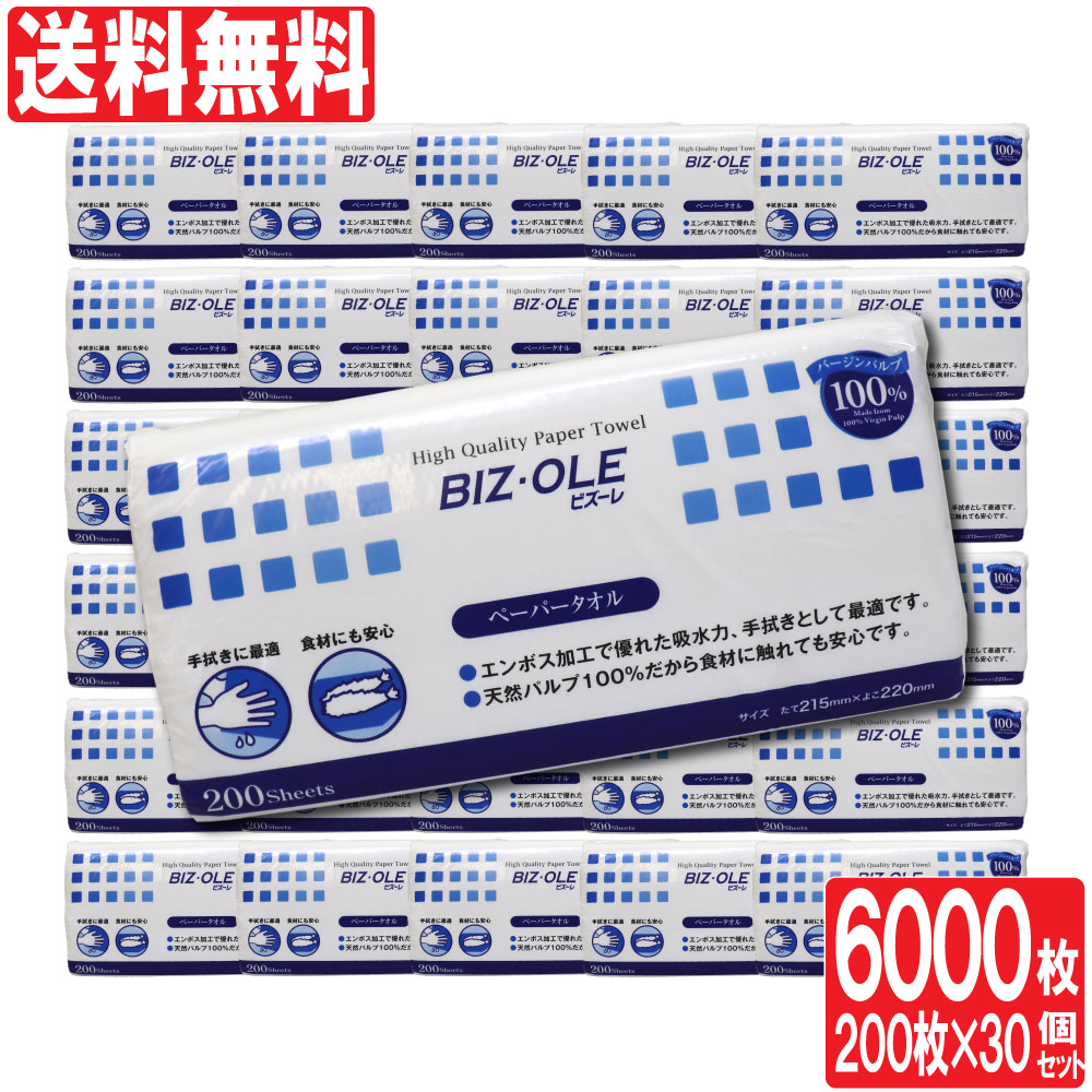 楽天市場 2 25限定ポイント15倍 要エントリー ビズーレ ペーパータオル レギュラー 0枚 30個セット 計6000枚 エンボス加工 キッチンクロス キッチンタオル キッチンペーパー 送料無料 わごんせる金橋