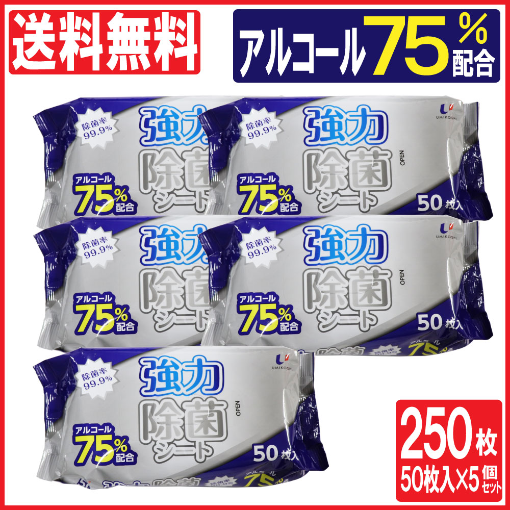 楽天市場】ウェットティッシュ 詰替 除菌 アルコール ノンアルコール 選べる2タイプ 500枚（100枚入×5個セット）ボトル ウェットシート  ウェットティシュー : わごんせる金橋