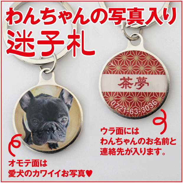 迷子札 犬 猫 ペットの写真入り迷子札 ドッグタグ 22新作 名入れ お名前 Omg40 グッズ オーダーメイド オーナーズ 和柄 水玉