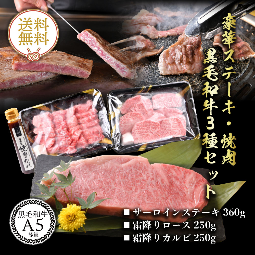 牛肉 黒毛和牛 A5等級 牛 送料無料 ギフト サーロイン 焼肉 ステーキ 人気の新作