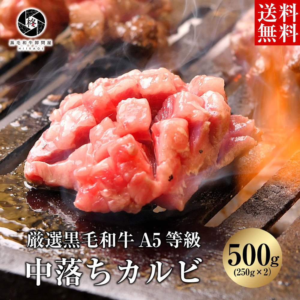 肉 牛肉 黒毛和牛 A5等級 中落ちカルビ 500g 希少部位 送料無料 バーベキュー q ギフト 肉 牛肉 黒毛和牛 A5等級 中落ちカルビ 500g 希少部位 送料無料 バーベキュー q ギフト 動画公開 25日にテレビで放送された大学 Diasaonline Com