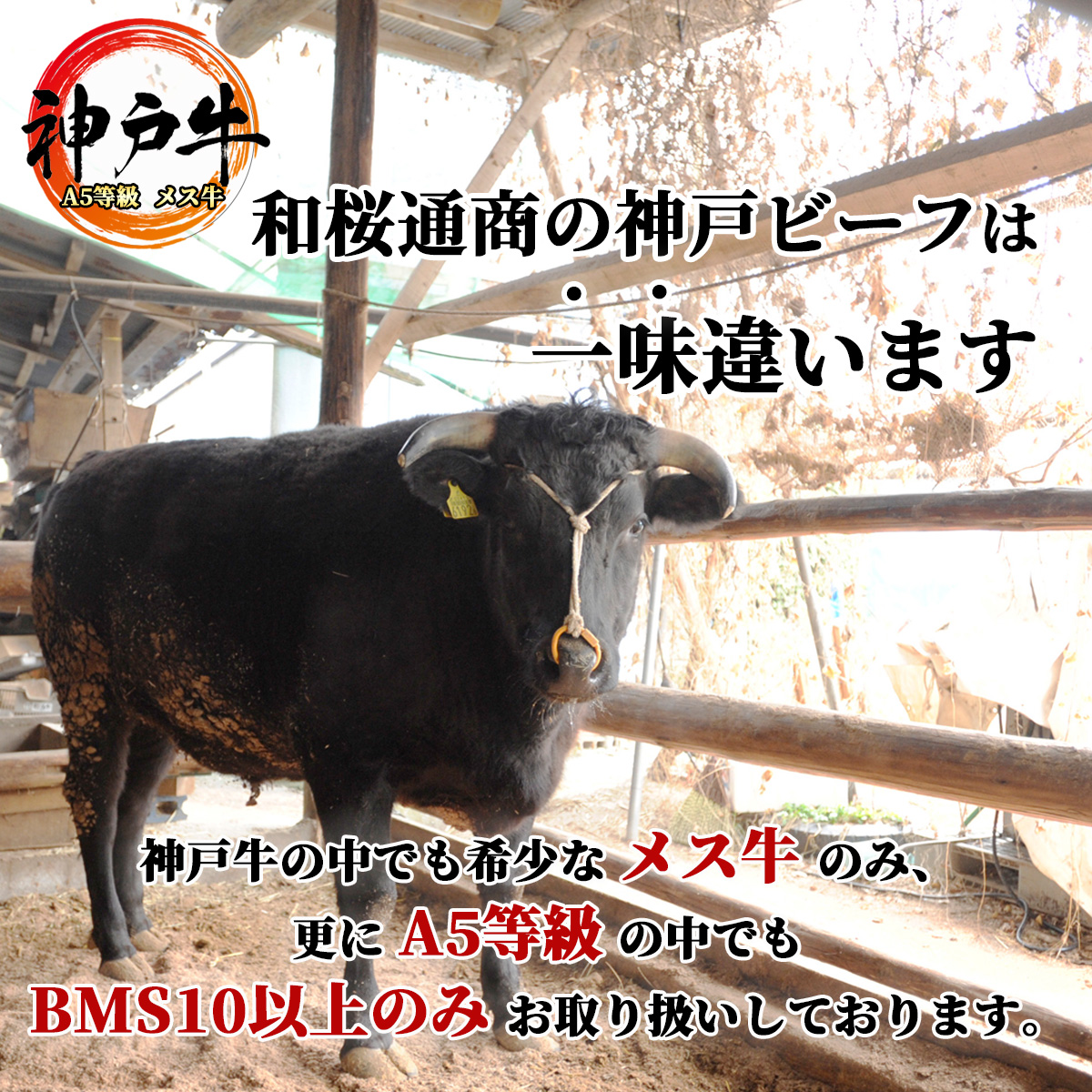 お得 神戸牛 肩バラ ブリスケ 1 000g 250g 4パック 4 6人前 コク旨スライス しゃぶしゃぶ用 Fucoa Cl お得 神戸牛 肩バラ ブリスケ 1 000g 250g 4パック 4 6人前 コク旨スライス しゃぶしゃぶ用 Fucoa Cl