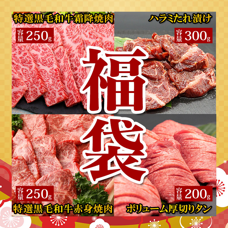 楽天市場 21 福袋 3 送料無料 黒毛和牛 霜降り焼肉 250g 黒毛和牛 赤身焼肉 250g ハラミたれ漬け 300g 牛タン 0g お試し 焼肉 福袋 21 福袋 福袋 セット 詰め合わせ 食品 お得 肉 焼肉 卒業祝い 入学祝い プレゼント 牛肉とハンバーグの和牛壱場