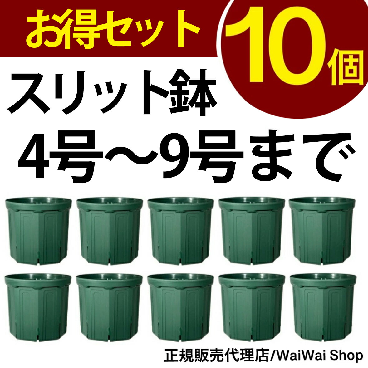 バラ苗、２苗セット、和ばら、６号スリット鉢、正規品 classic-rose.jpg