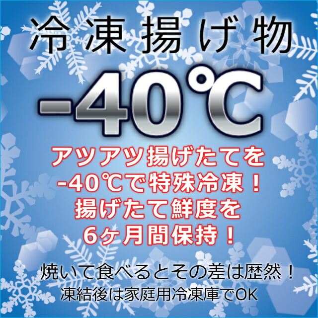 冷凍じっくり手揚げ肉厚ジューシー特大18×10cm おかずに！ 豆腐 | antiguaboreal.com