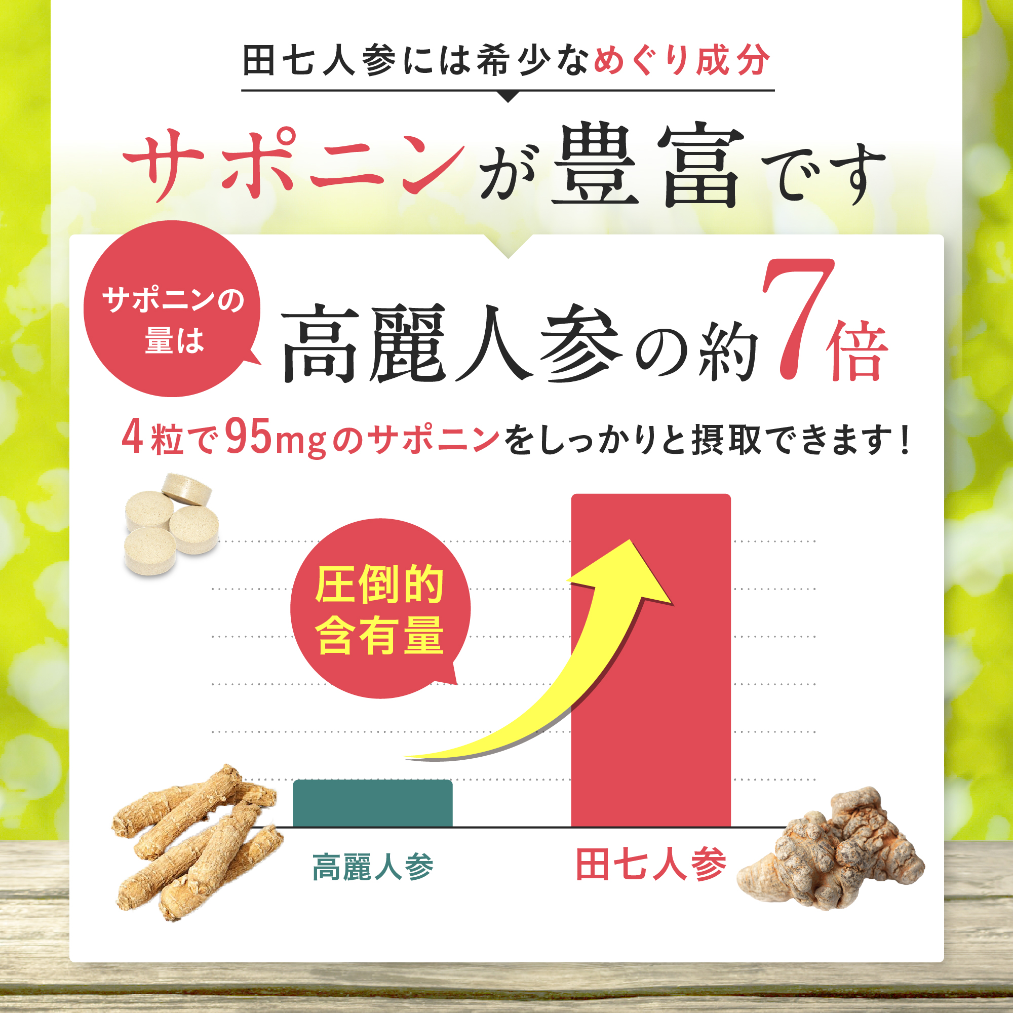 12/25最大P19倍】田七人参 高麗人参 白井田七 サポニン 漢方薬 漢方