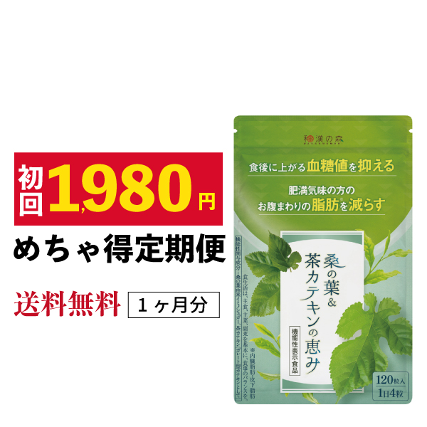 漢方セレクト 菊の花カテキンの恵み 60粒