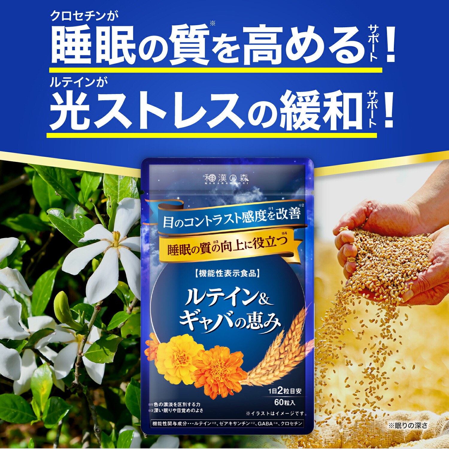 【ポイント30倍★21日10:00～22日9:59】睡眠 サプリ GABA ギャバ 睡眠の質 目覚め ルテイン クロセチン ゼアキサンチン 疲労感 疲労緩和 目のぼやけ かすみ ピント調整 アイケア サプリメント 和漢の森 ルテイン＆ギャバの恵み｜和漢の森　店