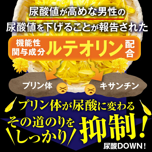 市場 LINEで5%OFF サプリメント 尿酸値を下げる 尿酸値対策 プリン体 尿酸 薬 痛風 尿酸値 サプリ 田七人参 ルテオリン