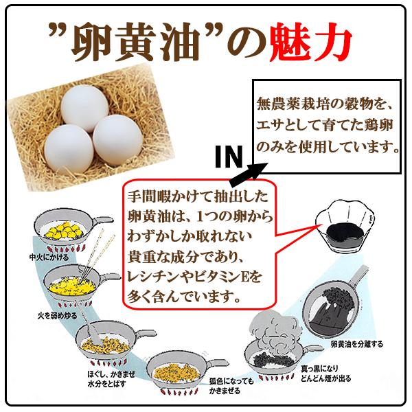 郵玉梓便 送料無料 広貫堂 式例のちから 40真珠状入り 3バッグ一式 縄付き酢もろみ 黒にんにく 国産種 黒にんにく卵黄 卵黄油分 ちゃんころハジカミ 丈夫 付録 Epa Dha Ca 黒酢 しょうが 黄金しょうが ヴィタミン たわやかカプセル剤 健康食品 栄養アテンド食品 魚油