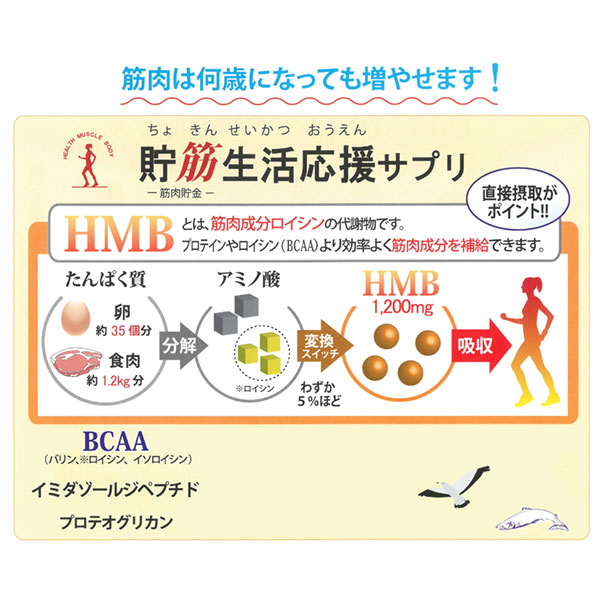 大人気 アミノネクストHMB 2個セット BCAA 筋肉 バリン ロイシン イソロイシン イミダゾールペプチド プリテオグリカン オオイタドリ 軟骨  カルシウム ビタミン 中高年 運動 健康食品 スポーツ乳酸菌 fucoa.cl