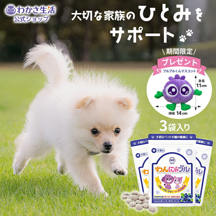わんにゃブル 3袋セット 4袋セット【 わかさ生活 公式 】 ペット 犬 犬用 猫 猫用 サプリ サプリメント おやつ アントシアニン ブルーベリー ブルーベリーアイ ドッグフード フード タブレット チキン味 めやに 涙やけ 目 シニア犬 老犬 高齢 体調管理