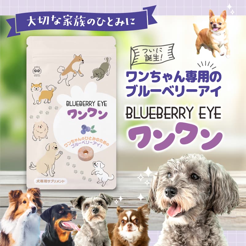 ブルーベリーアイ ワンワン 2袋セット 3袋セット 【 わかさ生活 公式 】 ペット 犬 犬用 サプリ サプリメント おやつ アントシアニン ブルーベリー ビルベリー カシス ブルーベリーアイ ドッグフード フード タブレット チキン味 めやに 涙やけ 目 シニア犬