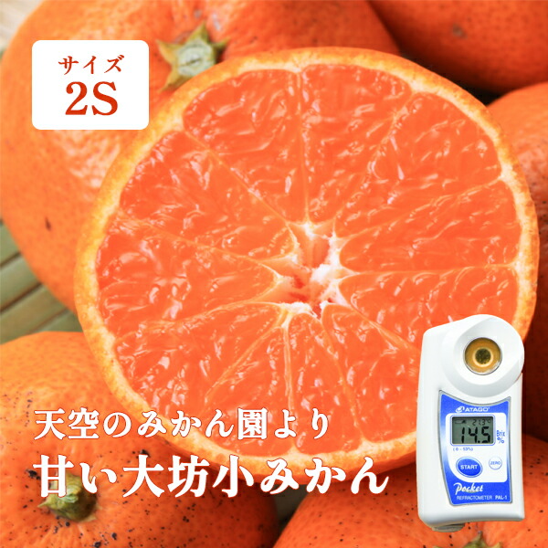楽天市場】温州みかん 小粒 SS(2S)サイズ 10kg 和歌山産 送料無料 濃厚