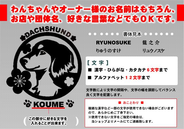 ダックスフンド ステッカー 丸型 小型犬 犬 グッズ 雑貨 名前 Www Pgrhonduras Gob Hn