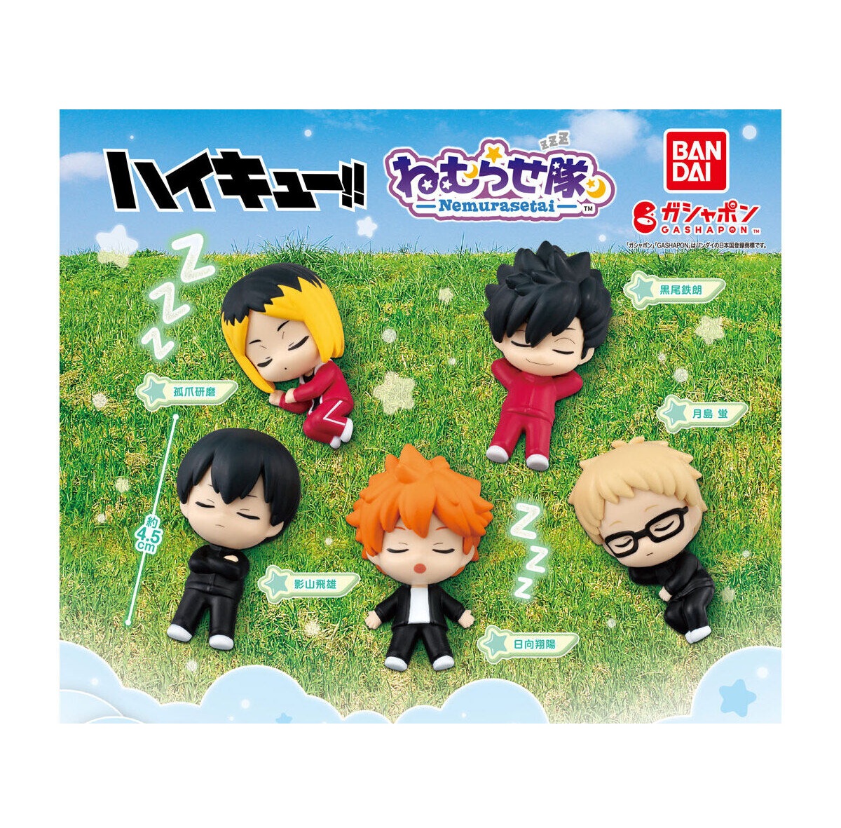 ハイキュー おねむたん 日向翔陽 楽天市場】【単品～全5種セット】□ガチャ/ おねむたん