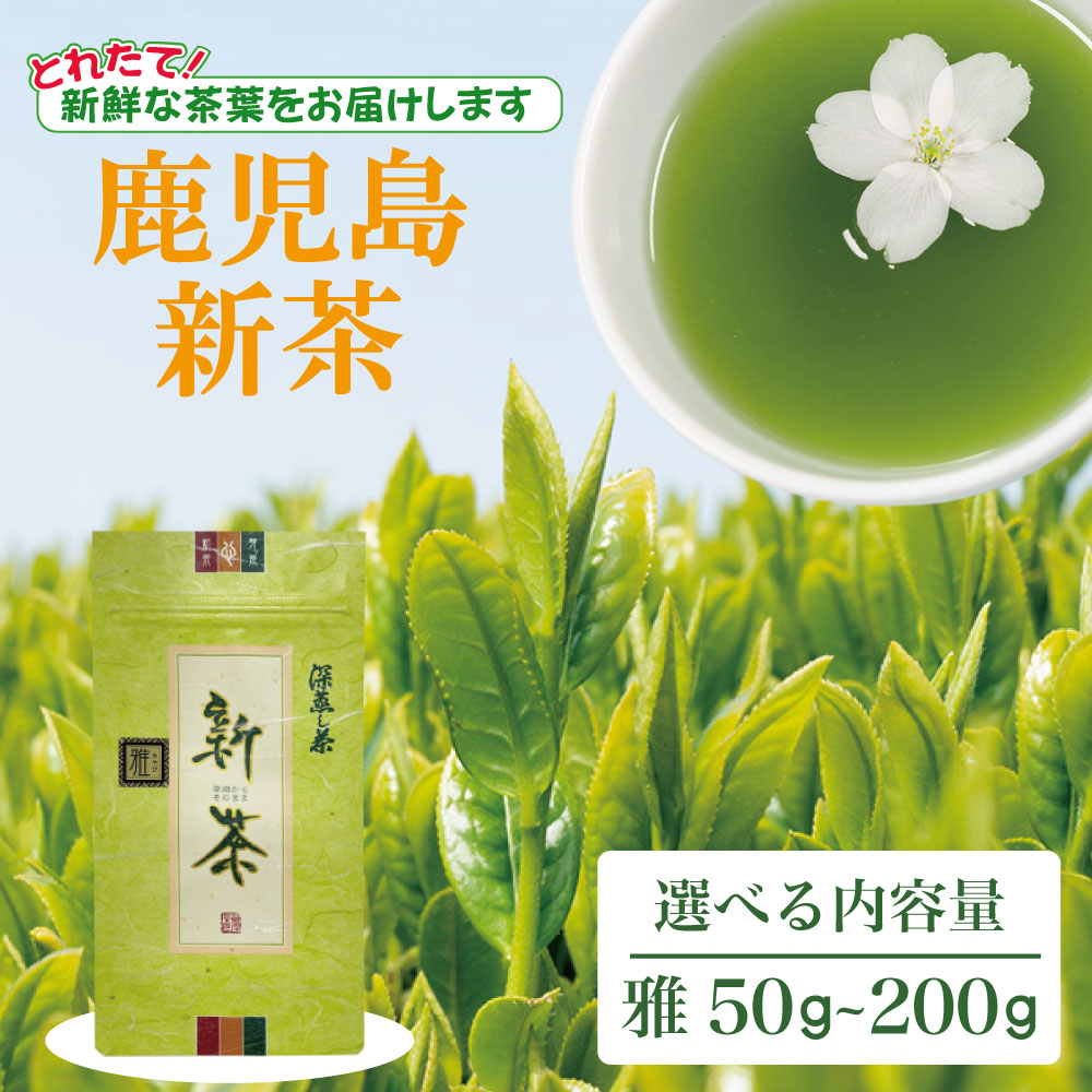 【予約受付中】2026年産 新茶 雅 50g 鹿児島茶 日本茶 お茶 緑茶 茶葉 深蒸し茶 お中元 お歳暮 残暑見舞い ご挨拶 新年 御祝 御礼 内祝 快気祝 お見舞 還暦祝 御供 志 母の日 父の日 出産祝 引っ越し祝 香典返し 贈答 ほんの気持ち プレゼント プチギフト 国産 送料無料
