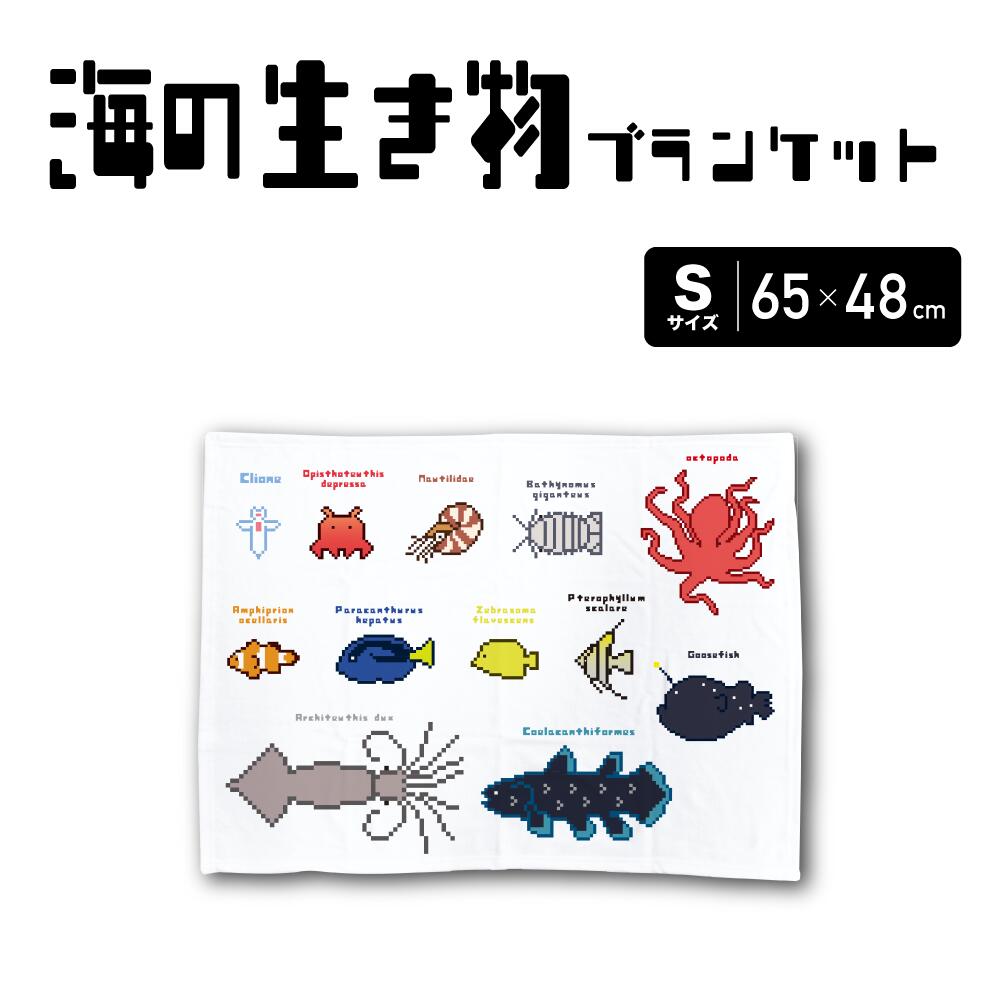 楽天市場】海の生き物 ブランケット Mサイズ 90×65cm 手書きイラスト海