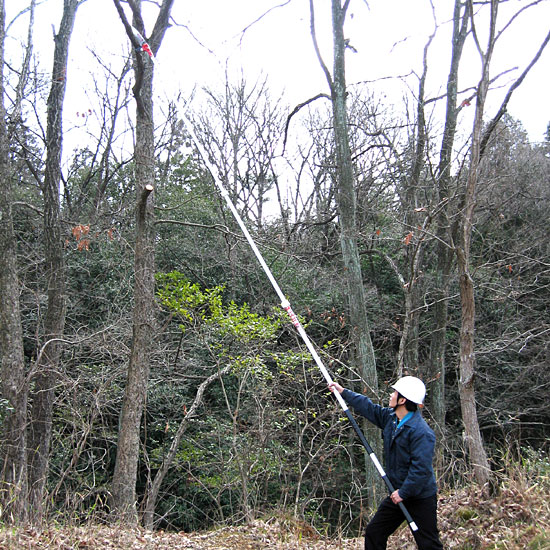 楽天市場】最長6.5mまで伸びるノコギリ 枝打ち一発 N-763 : わくわく生活