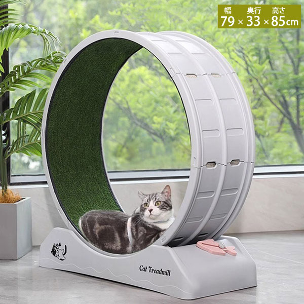 スターキャットホイール、キャットトレッドミル Amazon | スターキャットホイール、キャットトレッドミル、室内