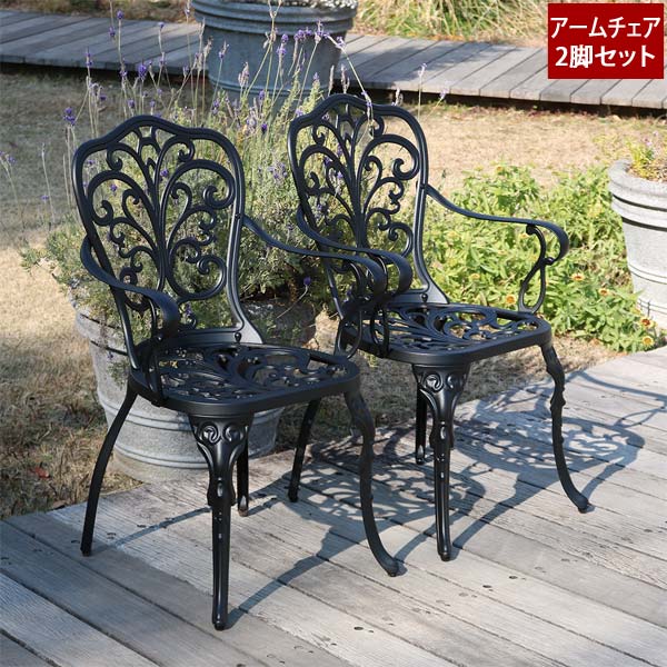 アームチェア 2脚セット アルミ製 トルペ ガーデン家具 マットブラック BKS-C5289-2P 22,052円