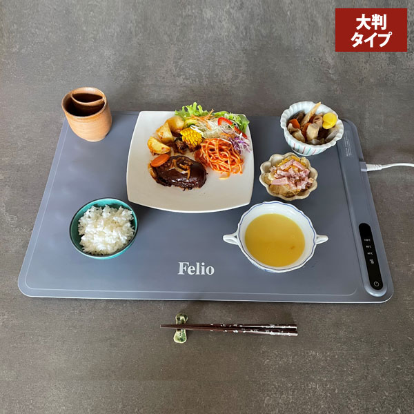 大判タイプ Felio フードウォーマー 60度 80度 100度 常温保温 食品保温プレート 電気保温プレート BW601