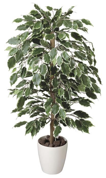 光の楽園 ゴールデンフィカス1.0 202A150 アートグリーン 人工観葉植物 光触媒｜わくわく家具